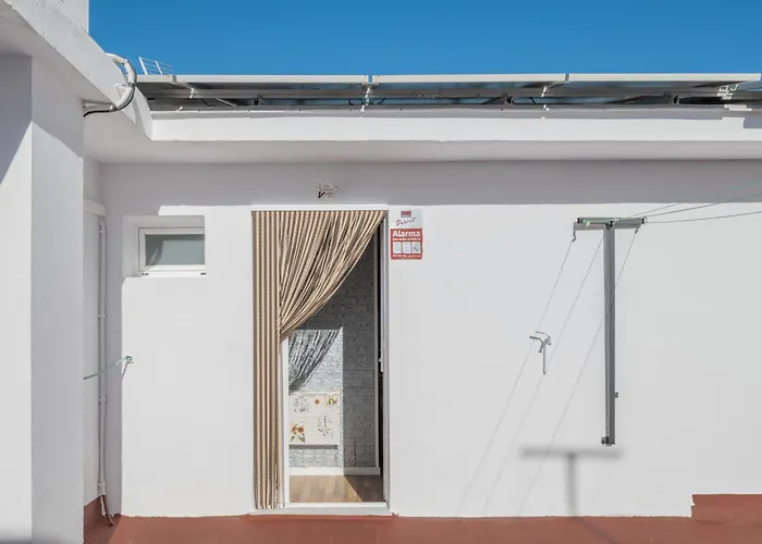 El Ronqueo - Solo Familias *